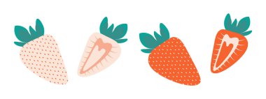 Beyaz ve Kırmızı Çilek Bütünüyle Yarım. Yaz mevsimi sağlıklı meyve. Tematik ya da menü kartları. İzole Vektör illüstrasyon Kartları, simgeler, çıkartmalar, broşürler, etiketler, fiyat etiketleri veya web tanıtım pankartları