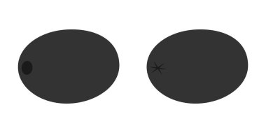 El Çizimi Siyah Zeytin Önü ve Arkadan Bakış Simgesi Simgesi Minimalist tasarım elemanları ayarlandı. İzole Vektör illüstrasyon Gıda Temaları veya Menü Kartları, tanıtım afişi, broşürler, etiketler, fiyat etiketleri