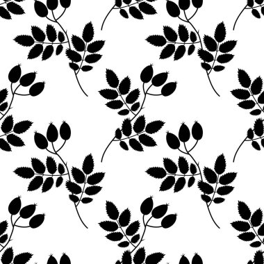 El Çizimi Siluet Gül kalçaları dalda ve yaprakları kusursuz botanik arkaplanda. İzole Vektör İllüstrasyon Doğa Tematik Arkaplan Afişi, broşürler, fiyat etiketleri. etiketler