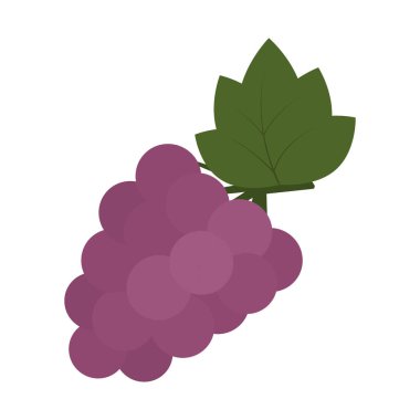 Yeşil yapraklı Mor Üzümler Çetesi Yapıştırması Simgesi Sonbahar Hasat Ürünleri Tasarım fikri. İzole Vektör illüstrasyonu Sağlıklı Yemekle İlgili İçerik Hasat Menüsü kartı, fiyat etiketi, broşür