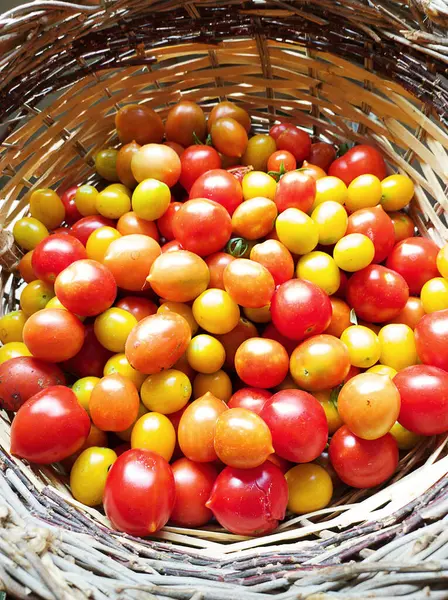 Cherry tomatoes of various shades in a wicker basket.  Vertical shot with natural light.