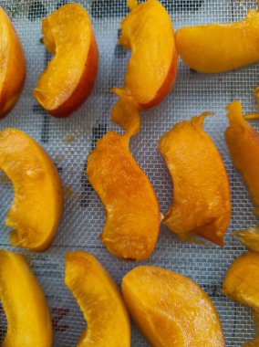 Organik kayısılar onları kurutmak için doğranmış. Doğal ışık ile dikey çekim.