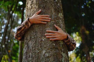 İnsan elleri tropikal ormanlarda ağaçlara dokunuyor, ağaca sarılıyor ya da çevreyi koruyor, CO2, net sıfır konsept, kirlilik ya da iklim değişikliği, Dünya Günü