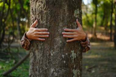 İnsan elleri tropikal ormanlarda ağaçlara dokunuyor, ağaca sarılıyor ya da çevreyi koruyor, CO2, net sıfır konsept, kirlilik ya da iklim değişikliği, Dünya Günü