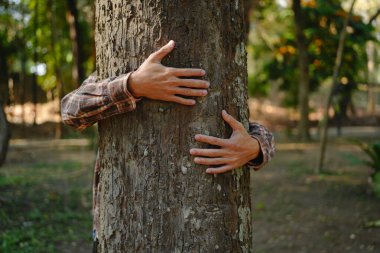 İnsan elleri tropikal ormanlarda ağaçlara dokunuyor, ağaca sarılıyor ya da çevreyi koruyor, CO2, net sıfır konsept, kirlilik ya da iklim değişikliği, Dünya Günü
