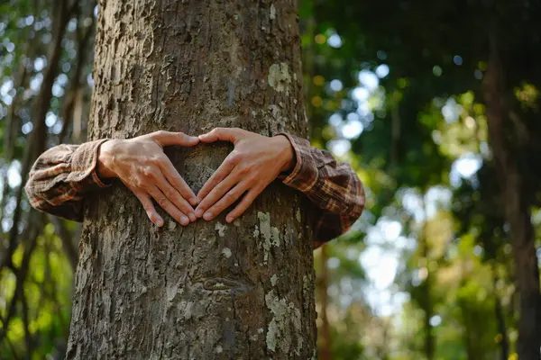 Руки Человека Касаются Зеленых Деревьев Тропических Лесах Обнимать Дерево Защищать Стоковая Картинка