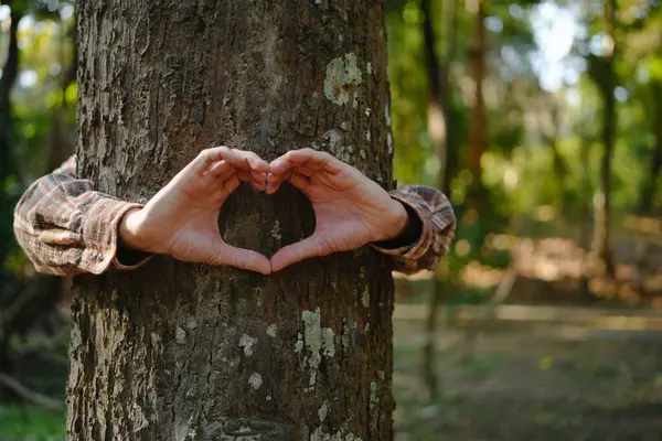 Руки Человека Касаются Зеленых Деревьев Тропических Лесах Обнимать Дерево Защищать Стоковое Фото