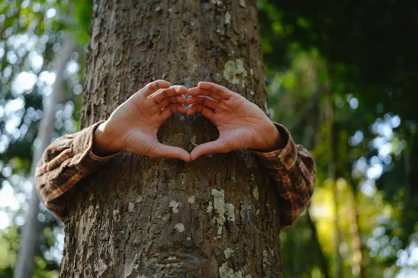 Руки Человека Касаются Зеленых Деревьев Тропических Лесах Обнимать Дерево Защищать Лицензионные Стоковые Фото