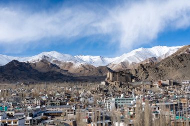 Leh, Hindistan - 02 Nisan 2023: Arkasında karlı dağlar olan Leh Sarayı manzarası