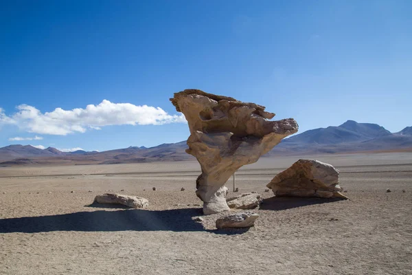 玻利维亚高原著名石 Arbol 彼德拉的形成 图库图片