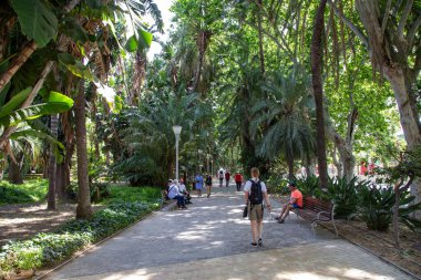 Malaga, İspanya - 24 Mayıs 2019: Paseo del Parque bahçelerindeki ağaçlık bir caddede yürüyen insanlar.