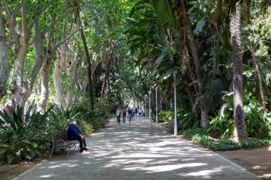 Malaga, İspanya - 24 Mayıs 2019: Paseo del Parque bahçelerindeki ağaçlık bir caddede yürüyen insanlar.