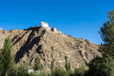 Leh, Hindistan - 13 Eylül 2024: Namgyal Tsemo Manastırı, Leh 'e tepeden bakan bir Budist manastırı