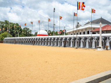 Anuradhapura, Sri Lanka 'da Ruwanwelisaya Stupa' da fil heykelleri