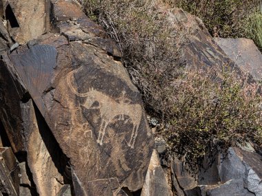 Kazakistan 'da Tamgaly Tas Petroglyphs