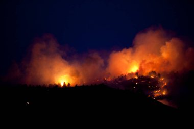 Indian Gulch Fire 'ın dağ yamacında alevler ve duman. 3 Mart 2011, Golden, Colorado.