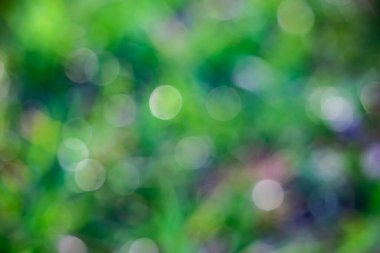 bokeh resim resimlerin altında ya da altında dijital resim olarak kullanılır.