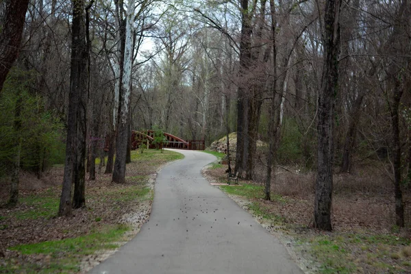 Περπάτημα Τρέξιμο Και Ποδηλασία Διαδρομή Σκέφτηκε Πάρκο — Φωτογραφία Αρχείου