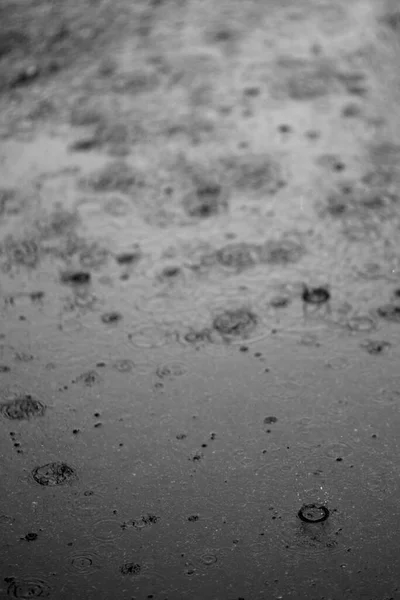 Краплі Дощу Бризки Асфальті Невеликою Глибиною Різкості — стокове фото