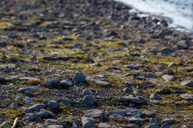 Su kenarında kayalar ve çakıl taşları