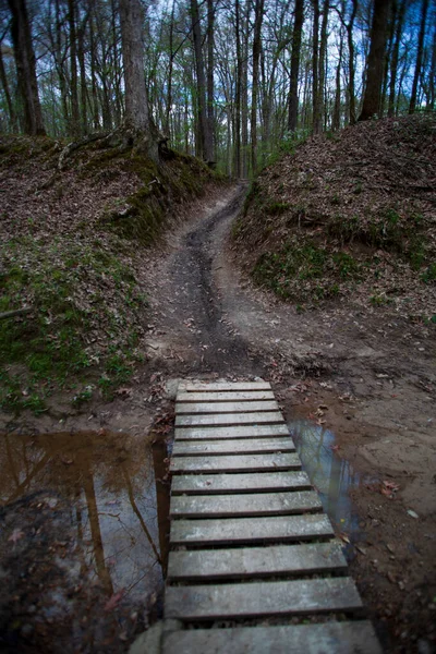 Dirt Útvonal Egy Híd Erdőben Buja Zöld Fák Levelek — Stock Fotó