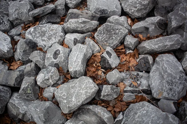 Foto Von Grauen Felsen Mit Verstreuten Blättern — Stockfoto