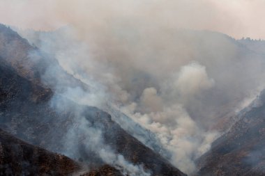 Indian Gulch Fire 'ın dağ yamacında alevler ve duman. 3 Mart 2011, Golden, Colorado.