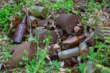 Paslı teneke kutular ve cam şişeler ormandaki çöp sahasında çürüyor..