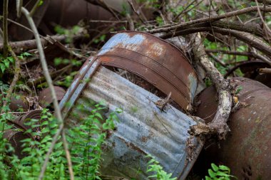 Paslı teneke kutular ve cam şişeler ormandaki çöp sahasında çürüyor..