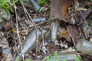 Paslı teneke kutular ve cam şişeler ormandaki çöp sahasında çürüyor..