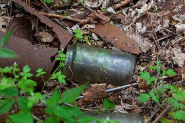 Paslı teneke kutular ve cam şişeler ormandaki çöp sahasında çürüyor..