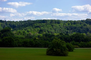 Ağaçlarla kaplı tepeleri ve parçalı bulutlu mavi gökyüzü olan açık bir çayırda yemyeşil ağaçlar.