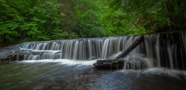 Rutledge Şelalesi Tennessee 'de bir şelale