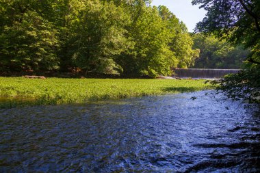 Tennessee 'deki Old Stone Fort State Arkeoloji Parkı' nda şelaleler 