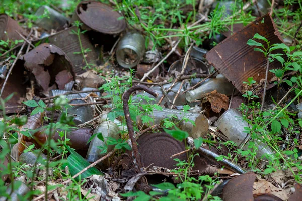 Rusty old tin cans and glass bottles decaying in at dump site in the forest.