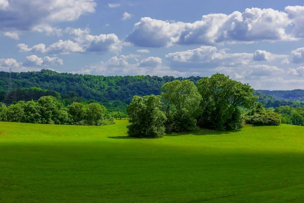 stock image Lush green trees in an open meadow with tree covered hills and a partly cloudy blue sky