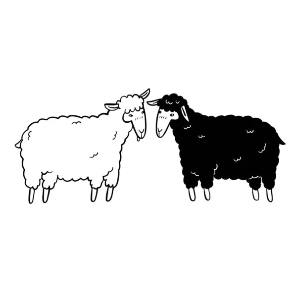 Ovce Černé Bílé Ručně Kreslené Vektorové Ilustrace — Stockový vektor