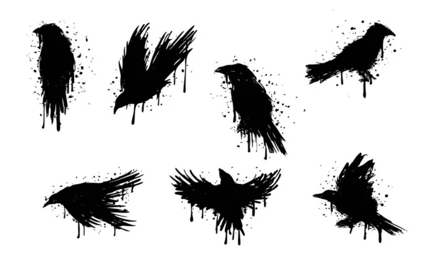 Kuzgun silueti. Siyah kuzgun kolleksiyonu vektör çizimi