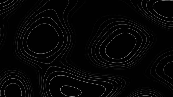 Animation Abstract Outline Topographic Contour Map High Quality Footage — Stock Video