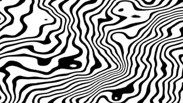 斑马流体纹理的动画 抽象扭曲波浪形条纹 高质量的4K镜头 — 图库视频影像