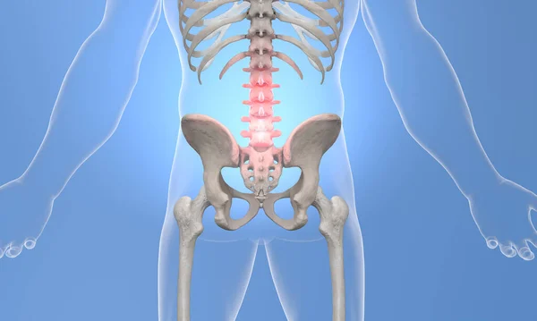 蓝光下腰痛骨骼肌的观察 — 图库照片