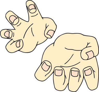 Çift El jestleri. İnsan elinin izole edilmiş vektör çizimi.