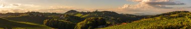 Vineyards panorama along Styrian wine road, Austria Europe. Panoramic background clipart