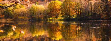 Thalersee Gölü sonbaharda. Dağlık kırsal alandaki gölü çevreleyen orman. Thal, Avusturya