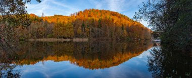 Graz yakınlarındaki Thalersee Gölü 'nde çarpıcı bir panoramik sonbahar manzarası, durgun suya mükemmel yansıyan renkli bir orman. Styria, Avusturya 'da sakin ve güzel bir doğal manzara.