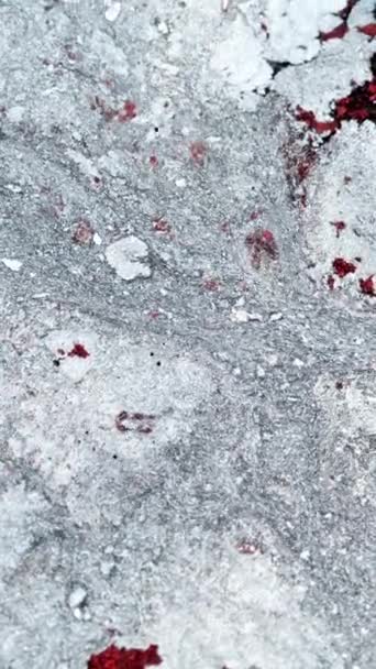 垂直录像 霜冻的抽象背景液体流动 油漆水 脱色的白色红色灰水墨波片漂浮在平面上 用红色电影摄影机拍摄 — 图库视频影像