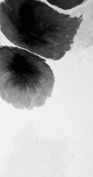 垂直录像 墨水水飞溅 黑色油漆下降 过渡覆盖 白粒纹理抽象自由空间背景上的湿法色波传播运动 — 图库视频影像