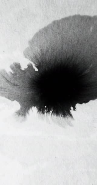 Vertical Video Black Paint Water Drop Wet Stain Transition Overlay — Stock Video