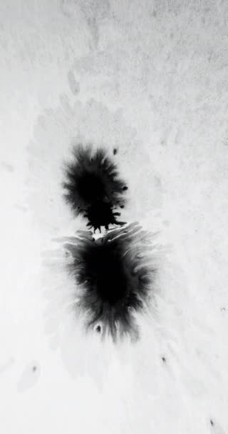 垂直ビデオ 水を塗るんだ インクのスプラッタ トランジションオーバーレイ 白い創造的な抽象的なフリースペースの背景に黒い液体染料スプラッシュ動き — ストック動画