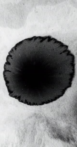 Vidéo Verticale Eau Goutte Encre Superposition Transition Éclaboussures Liquides Noir — Video